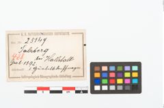 Etikett zu Bronzegürtelblech (NHMW-PRAE-025149)